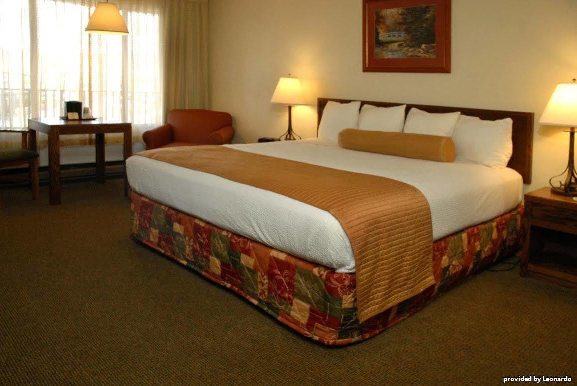 Best Western Paradise Inn Dillon Phòng bức ảnh